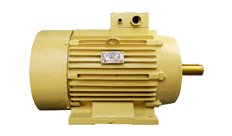 Induction Motor